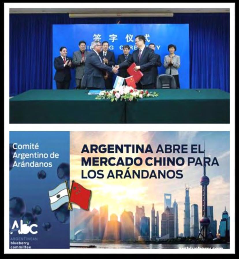 3 - Del Estado Nacional Argentino Apertura de Mercados Principales acciones 2017 Programa Abriendo Mercados. Destinado a mejorar la integración económica de Argentina en el mundo.