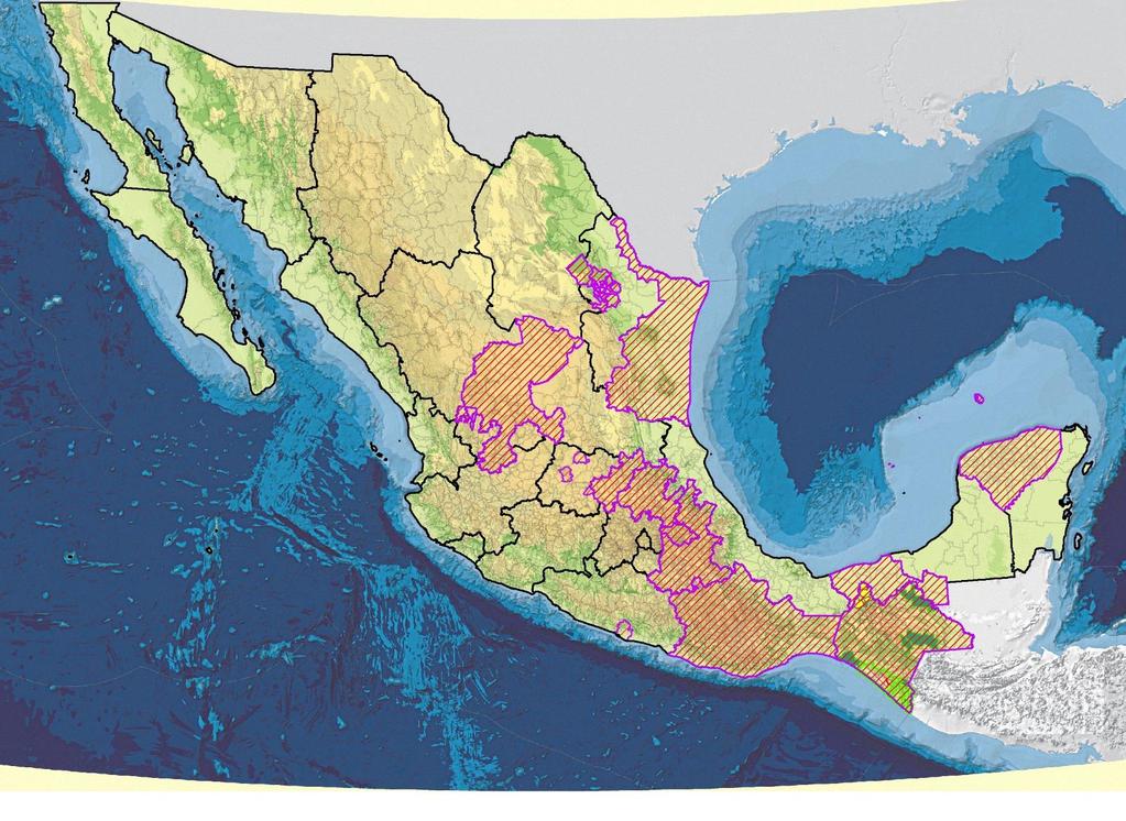 Mapa base de INEGI (Mapa Digital de México) con