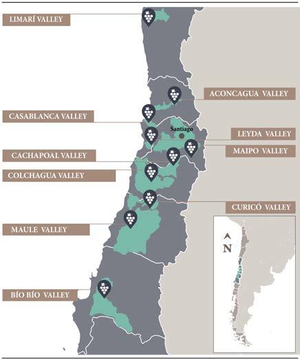 ARGENTINA USA 10 Valles 55