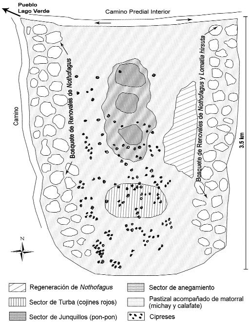 Geographicalia, 55, 2009: 27-43 Figura 2. Esquema simplificado de la forma del mallín y la distribución de la vegetación. 4.1.
