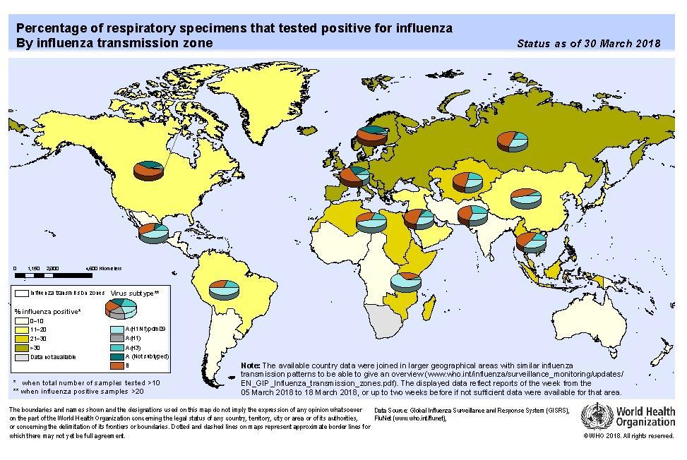 Global Level / Nivel Global Influenza Global Update 312. / Actualización de influenza nivel global 312.