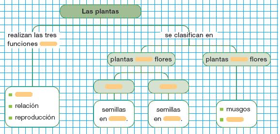Aquí tienes un esquema con la información básica acerca de las plantas, faltan algunos huecos por completar, pero lo que