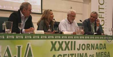 El proyecto para conseguir la IGP de la aceituna sevillana ya está en marcha y cuenta con el respaldo de ASAJA-Sevilla y otras ocho entidades y organizaciones.