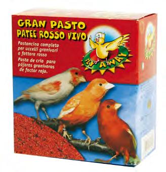 Red PA20008 300gr 10