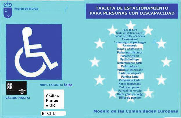 Página 2338 ANEXO I Fotografía / Sello o logotipo persona jurídica Esta tarjeta da derecho a utilizar las correspondientes facilidades de estacionamiento para personas con discapacidad vigentes en el