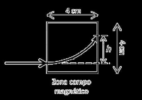 Bárbara Cánovas Conesa 1 eserva.1 2013 Sea la onda definida por la ecuación y = 7 sen (πx + πt ) en unidades del S.I.