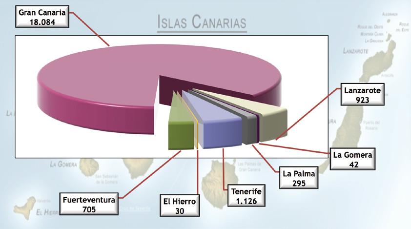 126 estudiantes) proceden de Tenerife y un 4,4% (923 estudiantes) de Lanzarote.