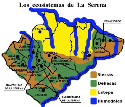 [] 4.5. Cultivos y Vegetación En el marco geográfico de La Serena son distinguibles cuatro ecosistemas que cuentan con una notable biodiversidad: sierras, dehesas, estepas y humedales.