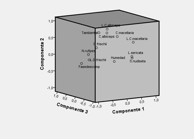 Figura 37. Análisis de Componentes principales.