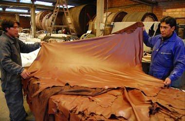 23 Industria del cuero, calzado y marroquinería Extendida en Cataluña, Comunidad Valenciana y Andalucía Ligada a la industria textil y a la