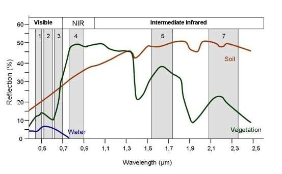 1. Algoritmos de detección del sargazo por sensores remotos (Floating Algae Index y NDVI).