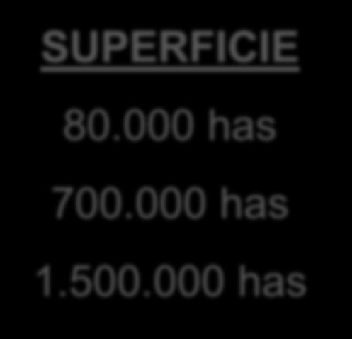 SUPERFICIE 80.000 has 700.