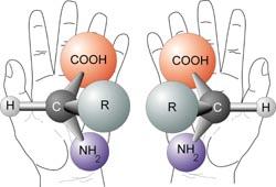 Isomería de Función: la presentan aquellos compuestos que teniendo la misma fórmula molecular presentan distintos grupos funcionales. C 2 