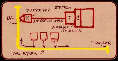 Ethernet Originalmente, desarrollada por Robert Metcalfe en el Xerox PARC a mediados de 1970 Normalizada por IEEE como 802.