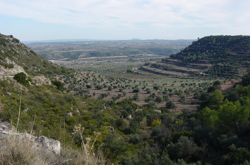 En terrenos del Estampiense, Oligoceno, Terciario, en Les Borges
