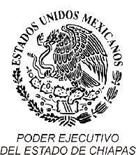 SECRETARÍA DE LA FUNCIÓN PÚBLICA.- DIRECCIÓN DE PREVENCIÓN Y REGISTRO PATRIMONIAL.- TUXTLA GUTIÉRREZ, CHIAPAS; A 28 VEINTIOCHO DE JUNIO DE 2010 DOS MIL DIEZ.