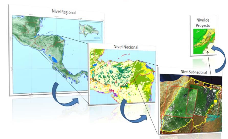 Insumos para el diseño e implementación de un Sistema Nacional de Monitoreo de Bosques en el contexto de REDD: Honduras. 1.