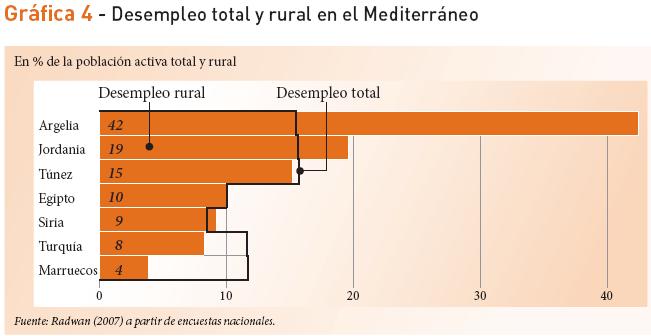 Desarrollo asimétrico del mundo rural Persistencia de bolsas de pobreza en el medio rural (2006) Túnez: 8% de pobres en zona rural,