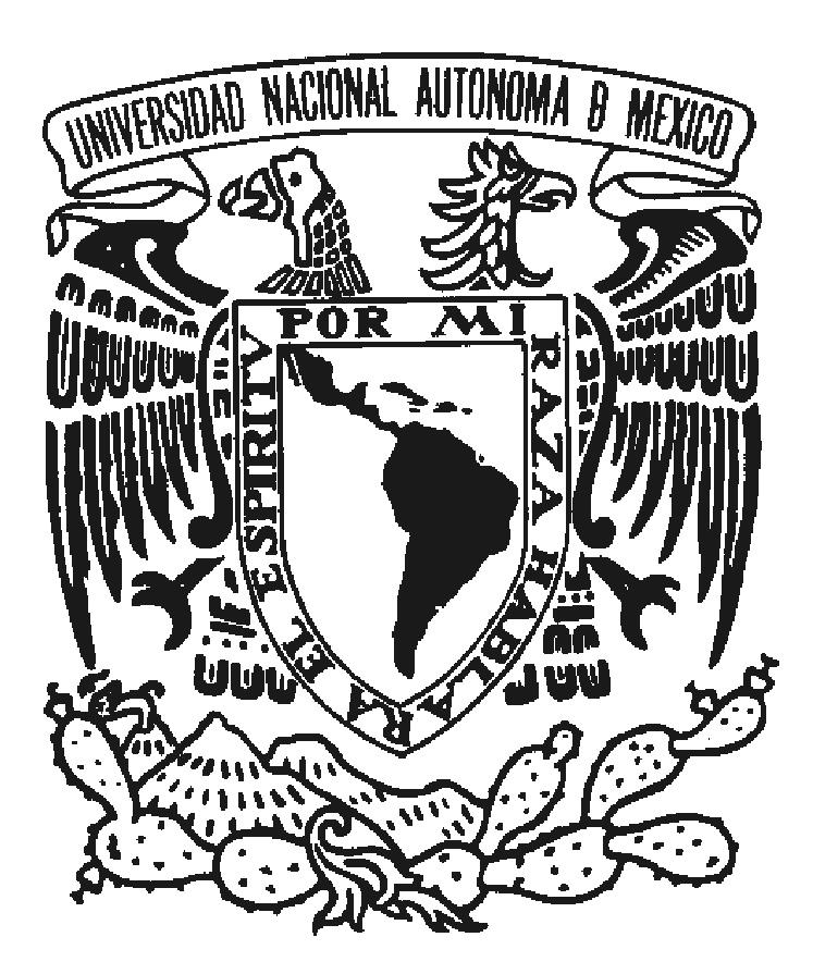 Úrsula Oswald Spring CRIM-UNAM, Responsable