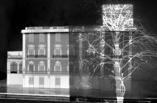 Simulación de vista desde el interior Sombra luminosa: se trata de un foco orientado hacia el torreón del edificio, emulando la sombra que el árbol