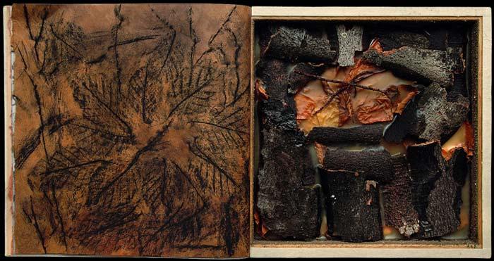 Dos libros: confeccionados por el artista, uno de ellos se abre con varias páginas de fotografías modificadas del haya y recoge en su caja cortezas y algunas de las hojas que dio en la primavera de