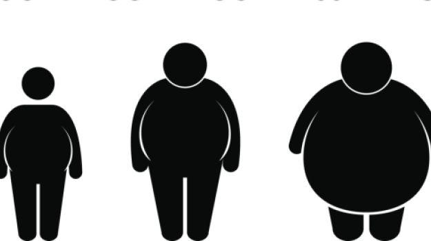 Costos de la obesidad en Chile Sobrepeso y obesidad 65% los