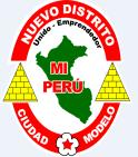 BASES DEL PROCESO DE SELECCIÓN CAPITULO I: GENERALIDADES 1.1. ORGANISMO CONVOCANTE: Nombre: Municipalidad Distrital de Mi Perú Domicilio: Av. Ayacucho Mz. G -07 Lote 06 - Mi Perú 1.2.