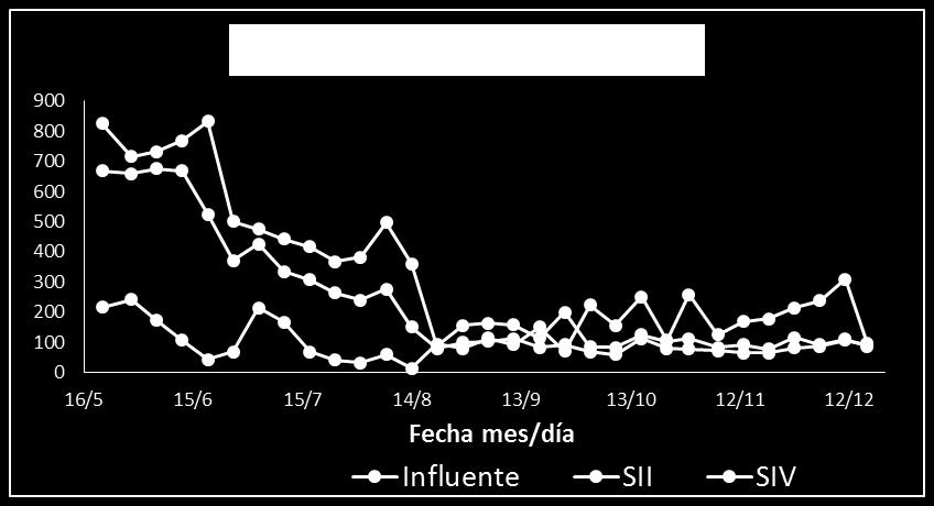 05) Reducción significativa en SI y SIII (sin diferencia entre ellos)