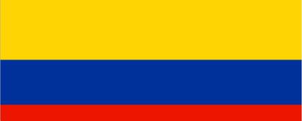 Acciones realizadas COLOMBIA Se desarrolla en conjunto con las instituciones líderes de Colombia