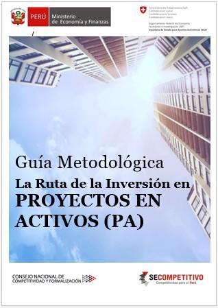 Proyectos en Activos - PA Documentos Guía Metodológica