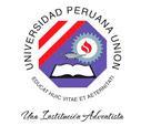 66 UNIVERSIDAD PERUANA UNIÓN ESCUELA DE POSGRADO Unidad de Posgrado de Ciencias de la Salud INTERVENCIONES DE ENFERMERIA EN EL CUIDADO DEL PACIENTE CON CATÉTER VENOSO CENTRAL ITEMS Si No 1.
