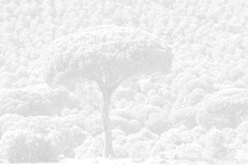 Influencia del clima y la humedad de suelo en la fenología del crecimiento secundario de encina (Quercus ilex Lam.) en un gradiente climático peninsular Vázquez- Piqué, J. 1 ; Alejano, R.
