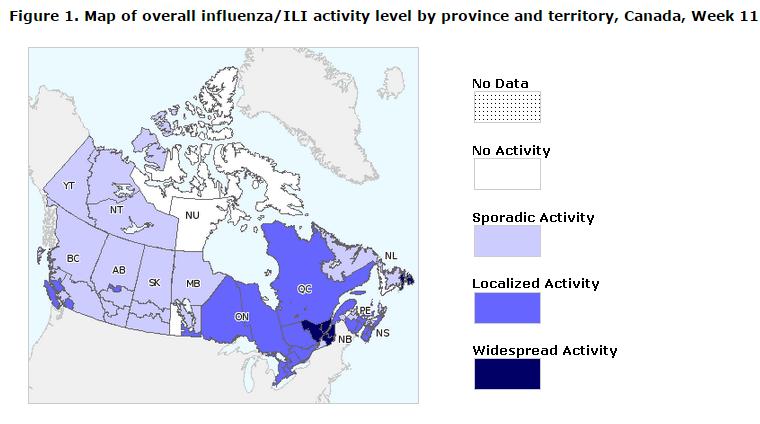 6%) were antigenically similar to A/Switzerland/9715293/2013, the influenza A(H3N2) virus selected for the 2015 Southern Hemisphere and 2015/16 Northern Hemisphere vaccine / 168 de 174 virus