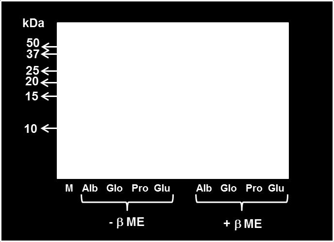 En cuanto a la caracterización funcional, esta se realizó a partir de las 2 fracciones mayoritarias, glutelinas y albuminas, en función del ph.