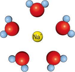 En la solvatación la sustancia iónica se disuelve en disolventes polares debido a la interacción ion-dipolo.