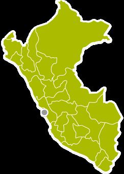 Estamos en todo el Perú Política de Desconcentración 23 Oficinas desconcentradas en cada una de las regiones del Perú Tumbes Piura Amazonas Loreto 11 Centros de Orientación en provincias Chincha,