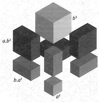 El desarrollo del volumen de un cubo de arista a bes el siguiente: a b a a b ab b 5 x 5 5 x 5 x x 15 75x 15x x División de polinomios Para dividir