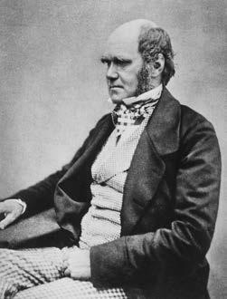 de la Ecología Alfred Wallace y Charles Darwin 1850