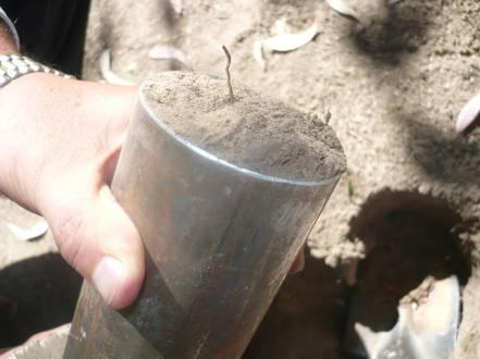 El muestreo consiste en la utilización de una pala plana, cincel, cilindro recto de volumen conocido u otro instrumento, para excavar el suelo.