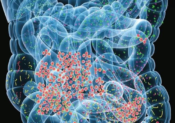 INTRODUCCIÓN A LA MICROBIOTA HUMANA 1. Introducción Qué es la metagenómica? Métodos de secuenciación del metagenoma Conceptos: microbiota y microbioma 2.