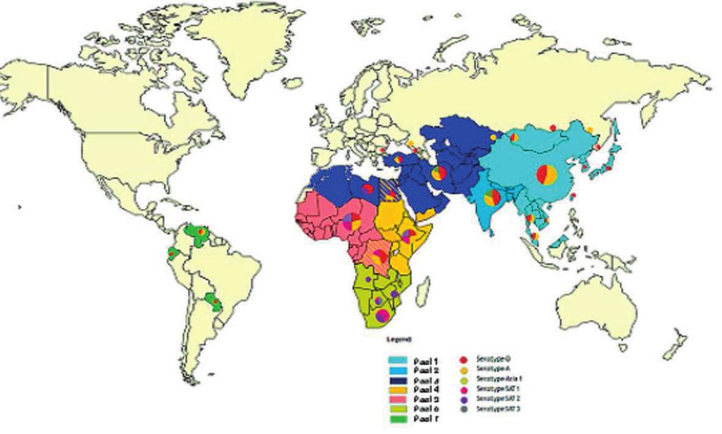 Figura 5: Distribución de serotipos de FA en los diferentes grupos (pooles) de países afectados (EuFMD) de riesgo.