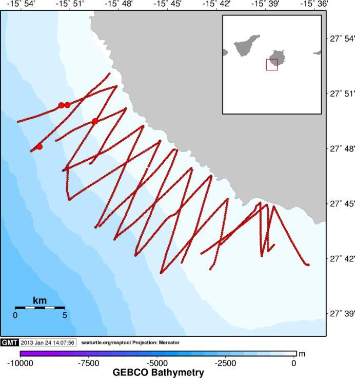 3.1.2. Gran Canaria Campaña enero 2013 (Fig. 4). El tiempo invertido en el mar fue de 36,9 horas de las que se estuvo en actividad de esfuerzo 18,6 horas.