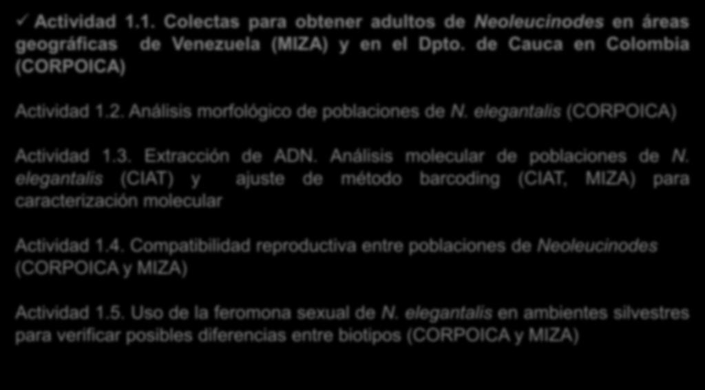 OBJETIVO 1 Actividad 1.1. Colectas para obtener adultos de Neoleucinodes en áreas geográficas de Venezuela (MIZA) y en el Dpto. de Cauca en Colombia (CORPOICA) Actividad 1.2.