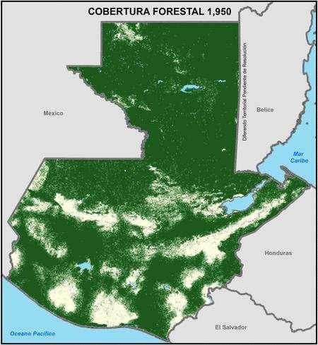 LEY PROBOSQUE (Decreto 2-2015) Objeto Aumentar la cobertura forestal del país con la creación y aplicación del Programa de Incentivos para el