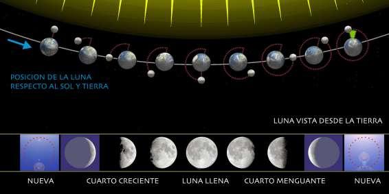 Estructura de los datos: La luna tarda 27.32 días en dar la vuelta a la tierra (período sideral). Su órbita está inclinada respecto al plano de la órbita terrestre 5.14 grados.
