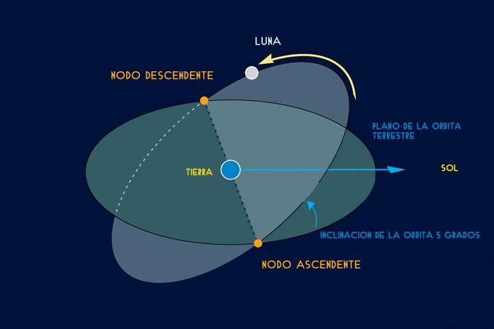 Al punto donde la trayectoria de la luna cruza el plano de la órbita terrestre se le llama nodo (Figura 6). Visto desde la tierra el nodo es el punto donde la luna cruza la eclíptica.