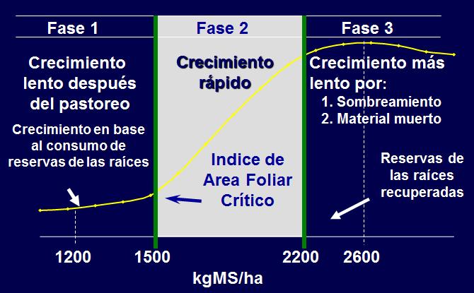 Figura 1: Curva de crecimiento y acumulación de carbohidratos de una pastura permanente de la zona templada. (Sandles, 2000).