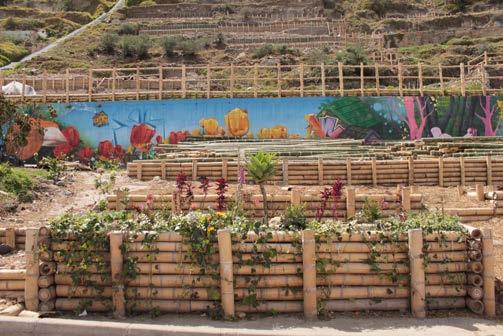 135 m Jardineras Jardineras Agroecológicas con residuos Elaborados