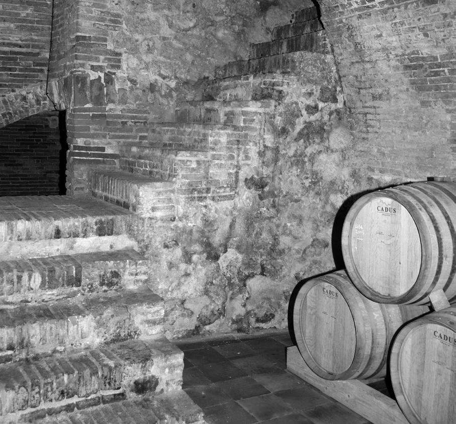LOS VINOS DE LEDA Bodega Leda elabora grandes vinos multiterroir a partir de la variedad Tempranillo obtenida de viñedos muy viejos.