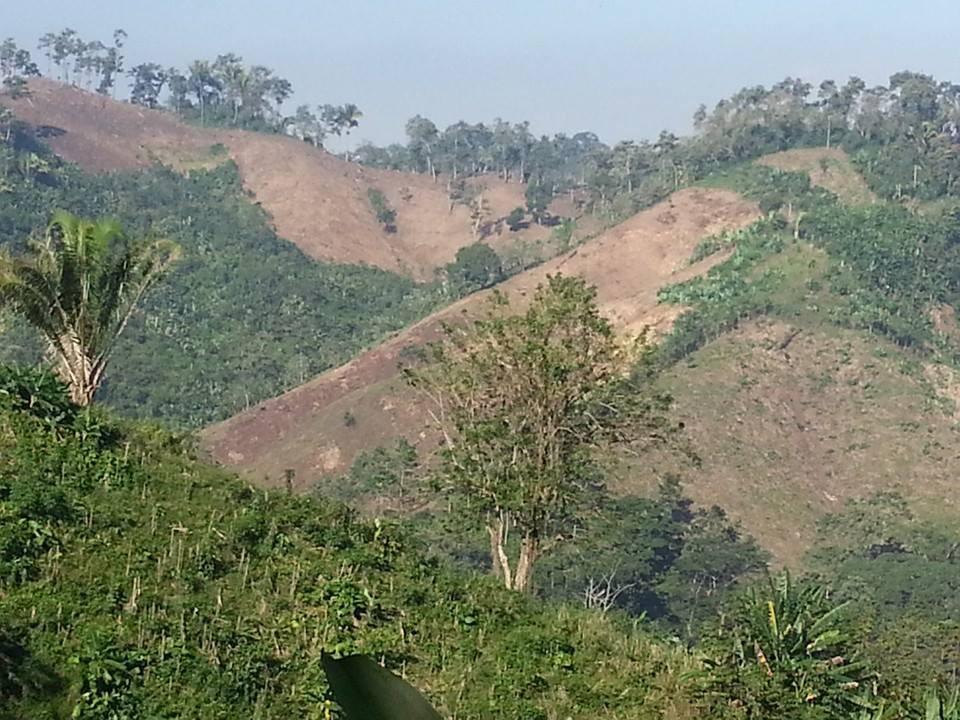 RUTAS CRITICAS Ejemplo Ruta Critica: Cuenca Tulian, Honduras El incremento de las áreas deforestadas,